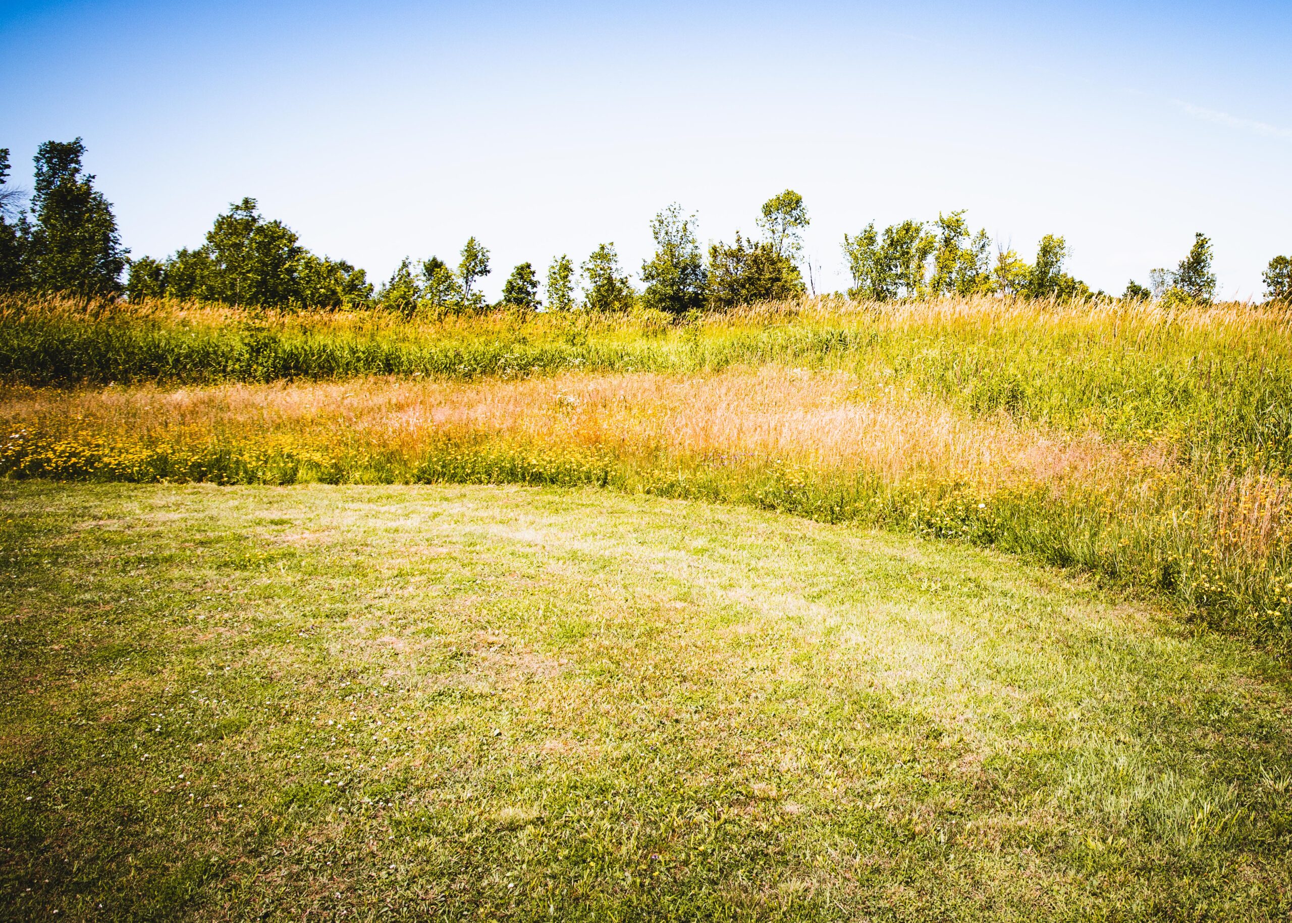 Hillside Vacant Land Bob Clarke Realty